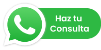Haz tu Consulta